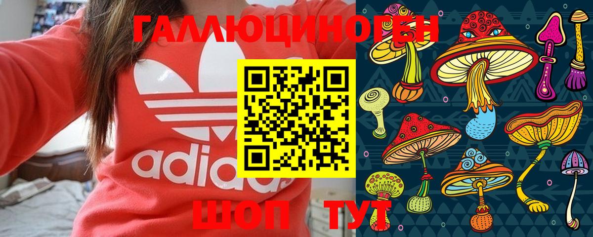 Галлюциногенные грибы мухоморы  как найти закладки  Котельники  Вход с VPN 