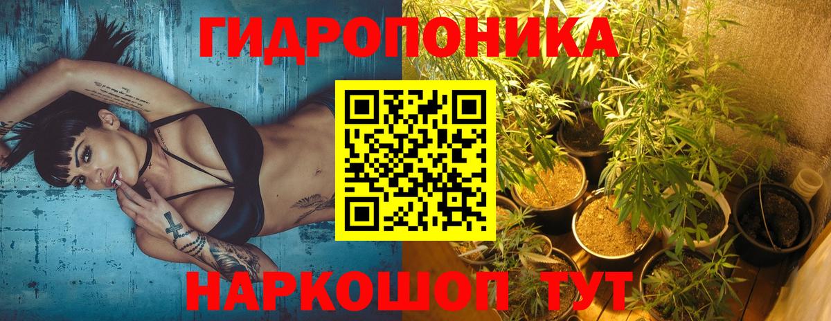 Каннабис VHQ  Бошки марихуана OG Kush  Вход с VPN  Котельники  Канабис тримм  Бошки марихуана семена 